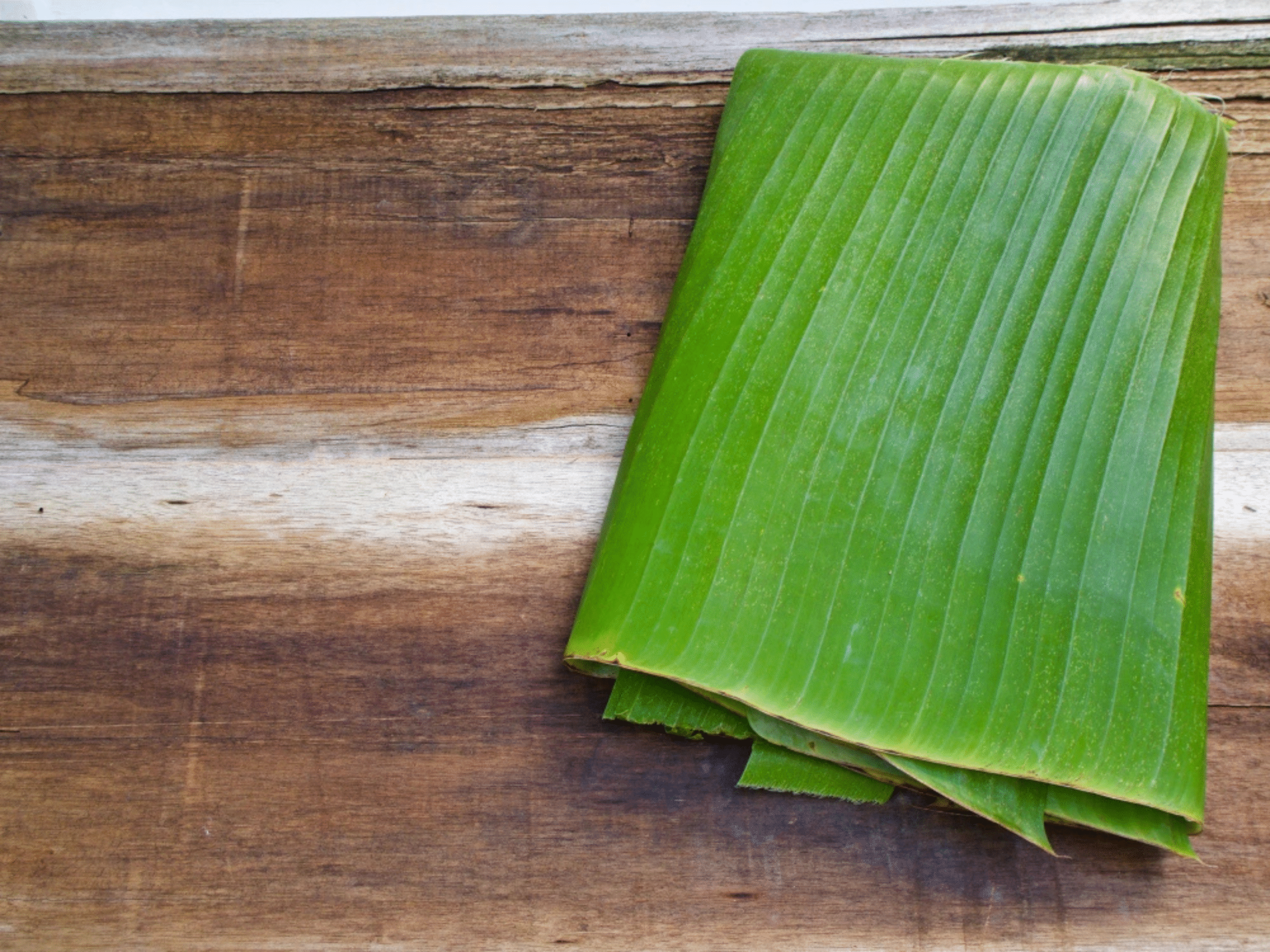 Banana Leaf 9